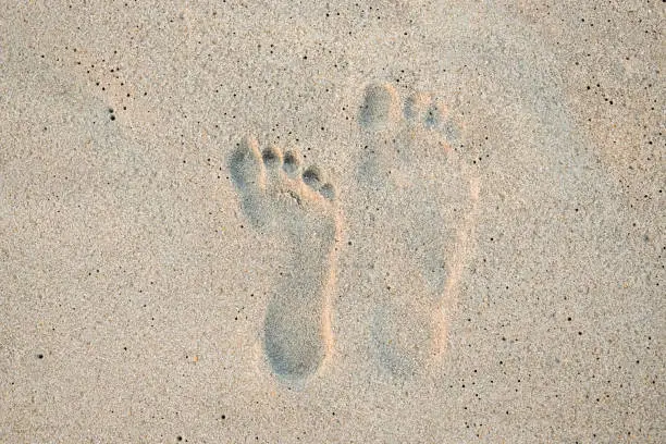 Photo of footprints in the sand of different sizes for comparison on the beach on vacation