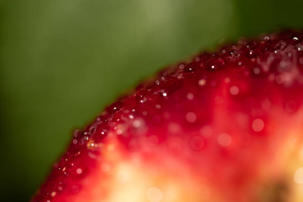 juicy red ripe apple skin with water drops on macro with selective focus - wet apple imagens e fotografias de stock