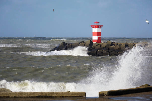 istock Storm along the coast of Scheveningen 1205546216
