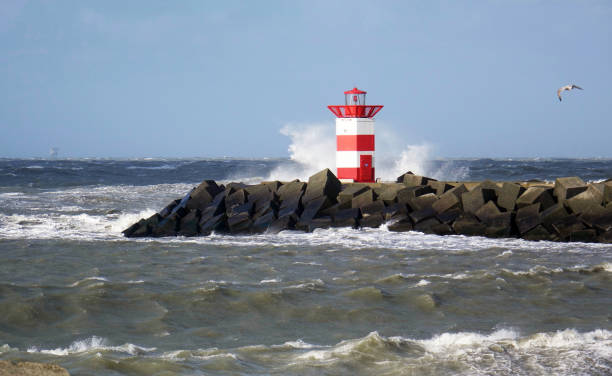 istock Storm along the coast of Scheveningen 1205546232
