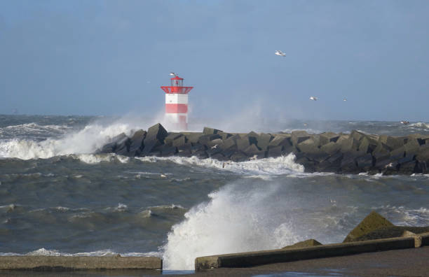 istock Storm along the coast of Scheveningen 1205546248
