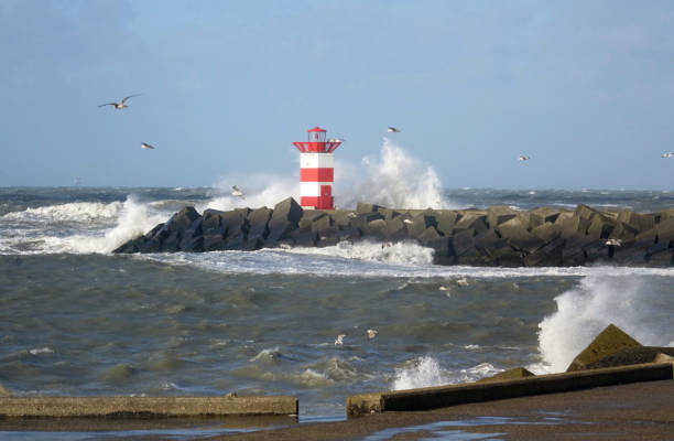 istock Storm along the coast of Scheveningen 1205546271