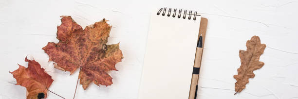 istock Blank sheet notebook with copy space for text. Dry leaves on white background. Top view template for social media, blog 1205546737