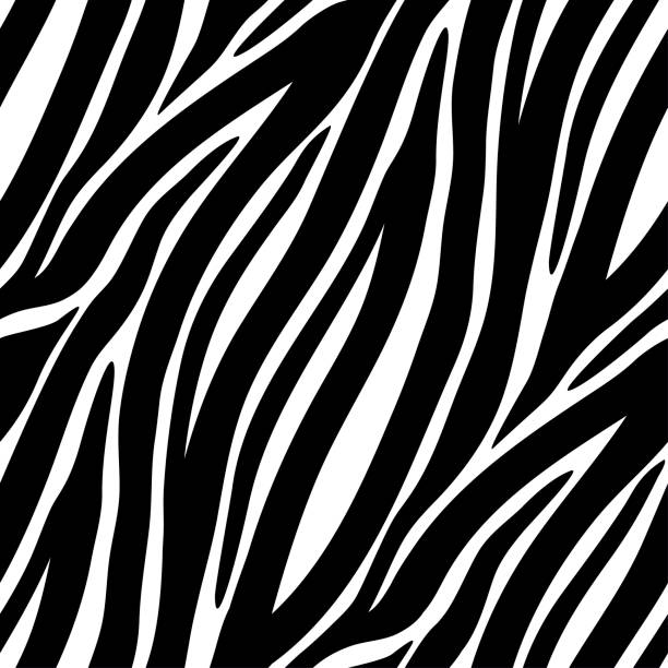 istock Seamless vector black and white zebra fur pattern. Stylish wild zebra print. Animal print background for fabric, textile, design, advertising banner. 1205548304