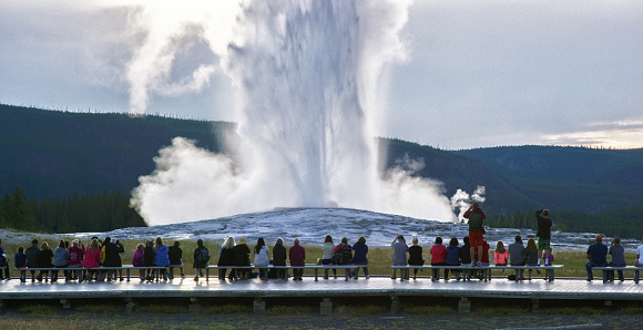 A Crowd of People Watching Old Faithful Geyser Erupt in Yellowstone National Park on an Overcast Day
