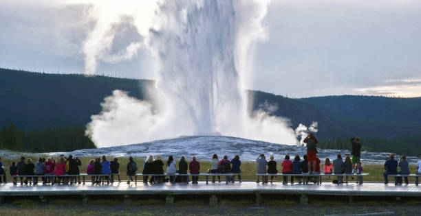A Crowd of People Watching Old Faithful Geyser Erupt in Yellowstone National Park on an Overcast Day A Crowd of People Watching Old Faithful Geyser Erupt in Yellowstone National Park on an Overcast Day geothermal reserve stock pictures, royalty-free photos & images