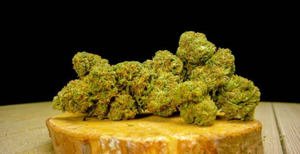 istock Dry, Trimmed Marijuana (Cannabis) Buds against a Black Background (Hemp, CBD) 1205548603