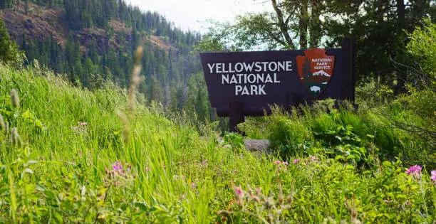 The Yellowstone National Park Welcome Sign Surrounded by Forest and the Rocky Mountains