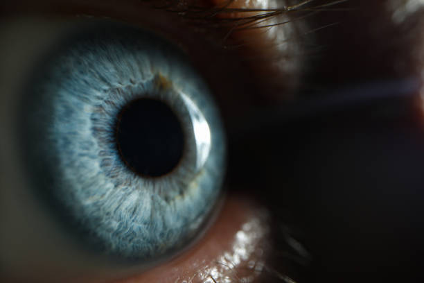 male blue eye closup super macro background - close up of iris imagens e fotografias de stock