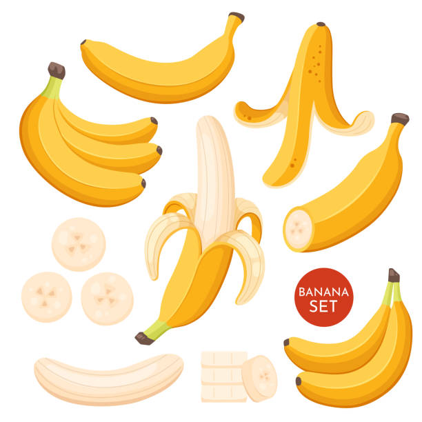 Set of cartoon illustration yellow bananas. Single, banana peel and bunches of fresh banana fruits. Set of cartoon illustration yellow bananas. Single, banana peel and bunches of fresh banana fruits banana stock illustrations