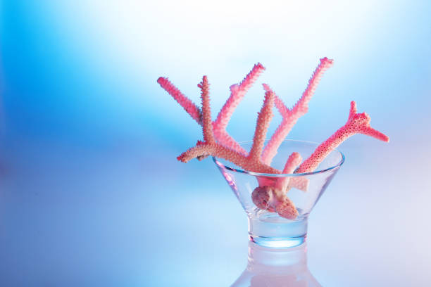istock White coral in pink light in a glass bowl over blue 1205554239