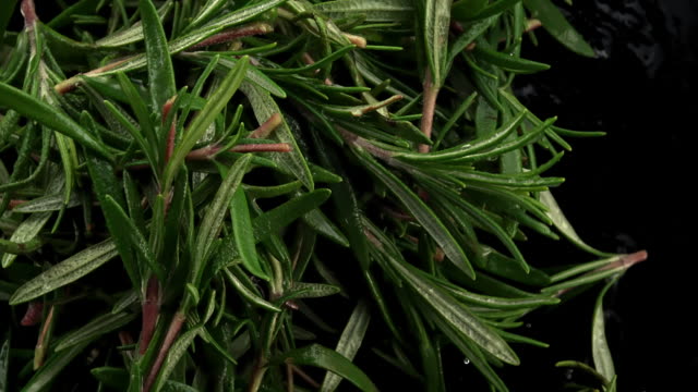 rosemary leaves in the air
