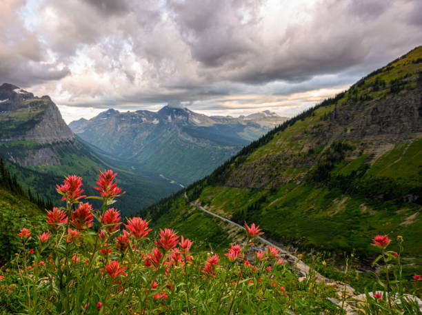 istock Clouds Cling to To Tops of Glacier Ridge 1205555463