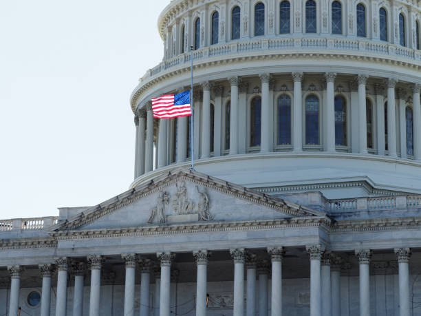 istock US capitol American flag half-mast. 1205555601