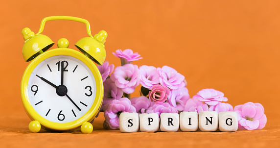 Spring forward, springtime, daylight savings time concept, yellow alarm clock and flowers on orange background. Copy space.