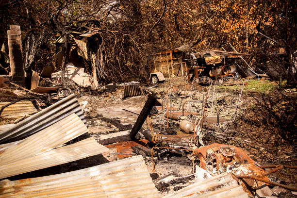 istock House destroyed by bushfire in Australia 1205556305