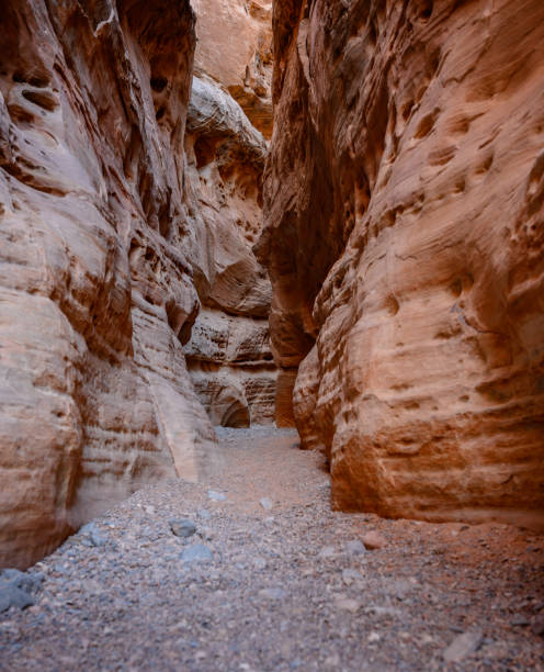 istock Dry Slot Canyon of Sandstone 1205556413