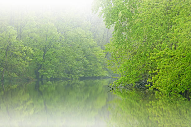 Foggy, spring landscape of the Kalamazoo River, Michigan, USA
