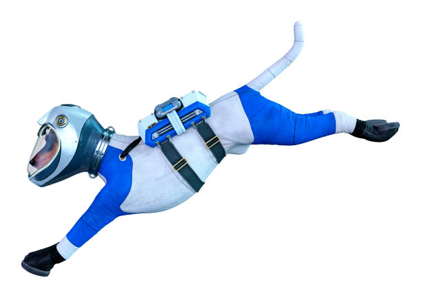 istock 3D illustration astronaut dog on white 1205560353