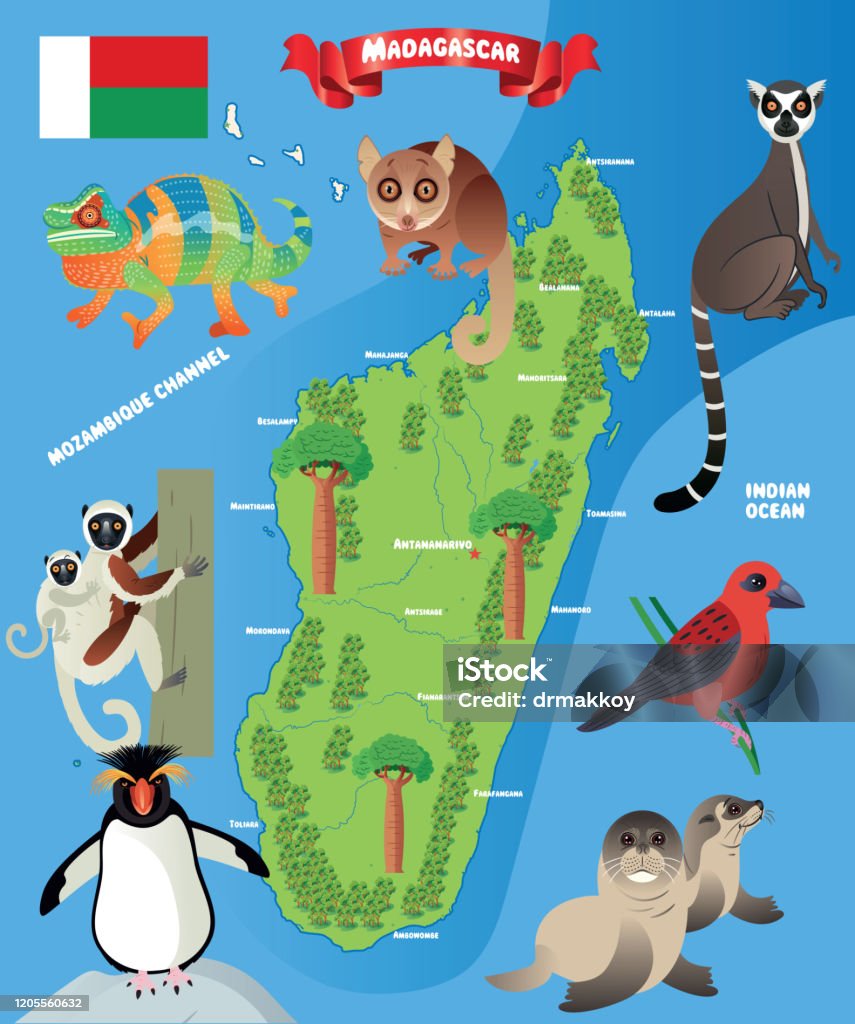 Madagascar Animals Stock Illustration - Download Image Now - Africa, Animal,  Animal Body Part - iStock