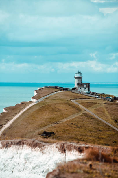 istock Eastbourne Lighthouse And Cliff 1205560645