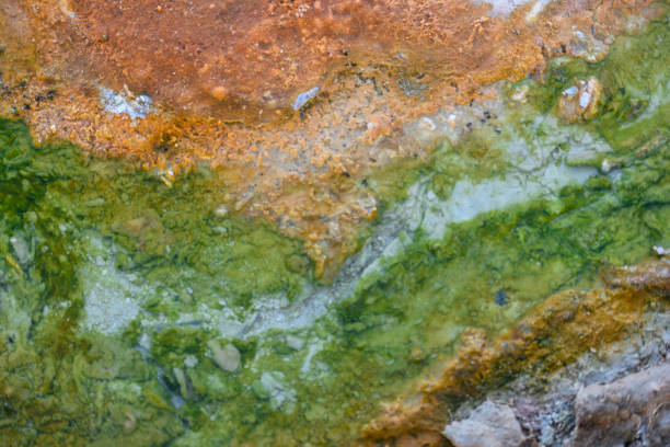 Grand Prismatic Springs, Yellowstone National Park. 