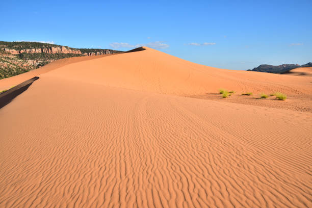 Wind has formed patterns in the sand at Coral Pink Sand Dunes State Park, Utah.