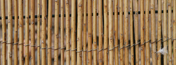 istock Bamboo fence 1205567386