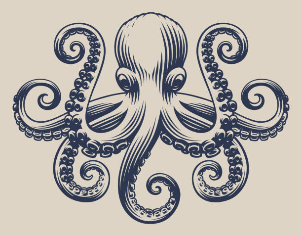 Vintage illustration with an octopus for seafood theme Vintage illustration with an octopus for seafood theme. Isolated octopus stock illustrations