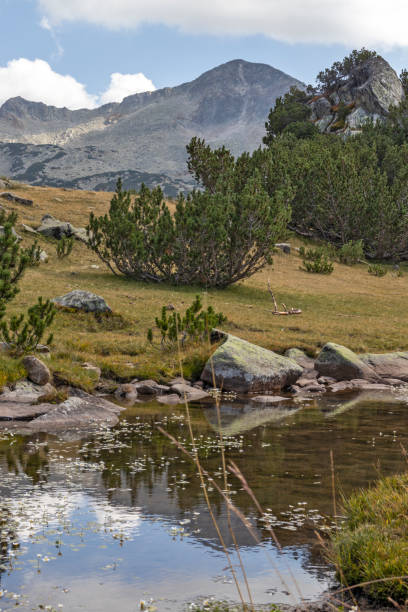 istock River and Banderishki Chukar Peak, Pirin Mountain, Bulgaria 1205568302