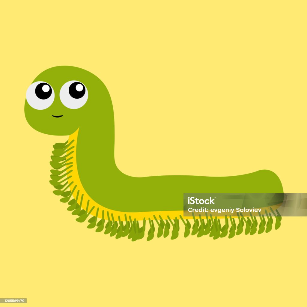 Kawaii Funny Character Green Insect Icon Centipede Cute Cartoon Smiling  Face Flat Design Kids Pictures Stock Illustration - Download Image Now -  iStock