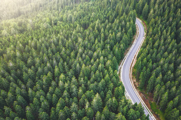 Picturesque Mountain Road Idyllic winding road through the pine forest. drone point of view road stock pictures, royalty-free photos & images