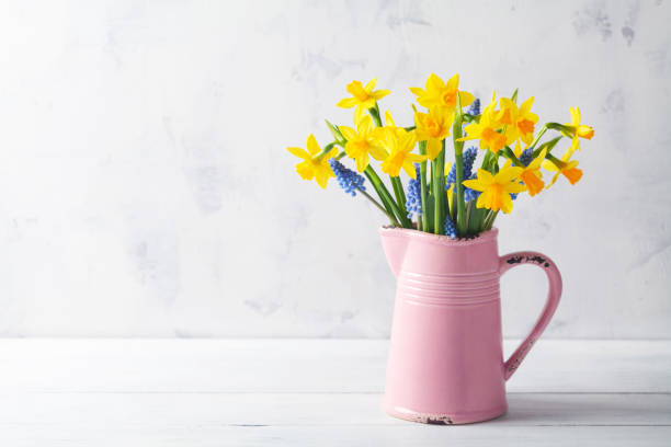 schöne frühlingskomposition mit narzissenblüten in vase auf weißem hintergrund. frau tag urlaub grußkarte. - daffodil stock-fotos und bilder