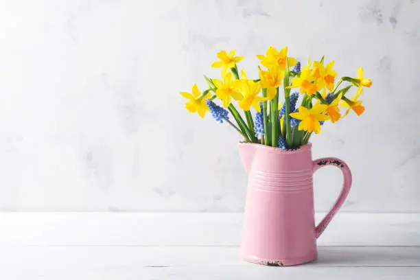 Photo of Beautiful spring composition with daffodil flowers in vase on white background. Woman day holiday greeting card.