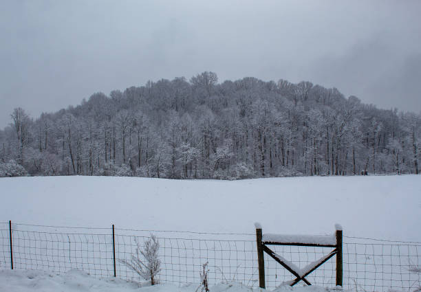 istock Snow in the Georgia Mountains 1205570517