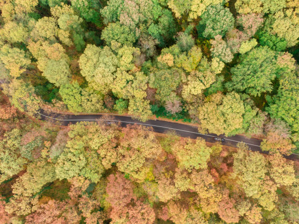 istock Mountain road in Autumn 1205572603