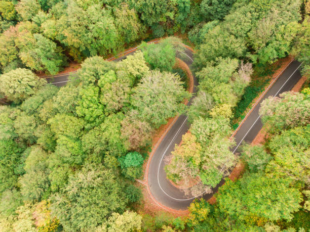 istock Mountain road in Autumn 1205572604