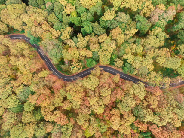 istock Mountain road in Autumn 1205572606