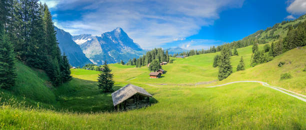 vista panorámica de los alpes suizos con casas de campo a los pies de los alpes en grindelwald, suiza - swiss culture european alps eiger mountain range fotografías e imágenes de stock