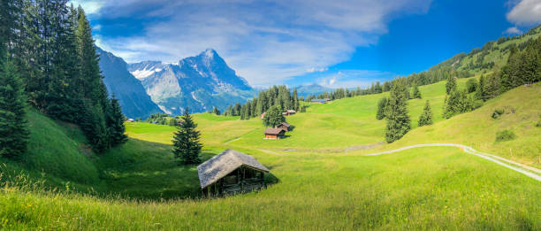 Panoramic view of Swiss Alps with cottage houses at the foot of the alpine in Grindelwald, Switzerland Grindelwald, a village in Switzerland’s Bernese Alps, is a popular gateway for the Jungfrau Region, with skiing in winter and hiking in summer. It's also a base for mountain-climbing ascents up the iconic north face of Eiger Mountain. Gletscherschlucht, a glacial gorge just outside Grindelwald, features paths with interpretive signage, waterfalls and striated limestone walls. grindelwald photos stock pictures, royalty-free photos & images