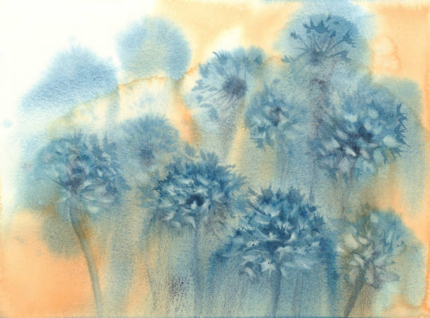 dandelion clockin the yellow grunge watercolor background Dandelion clockin the yellow grunge watercolor background. Flower illustration dandelion clock stock illustrations