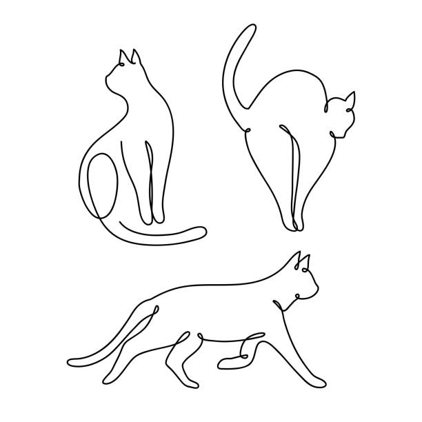 ilustraciones, imágenes clip art, dibujos animados e iconos de stock de línea cat_2 - feline