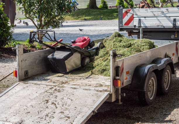 istock Lawn mower on the trailer 1205581469