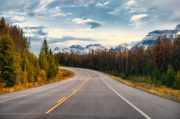 istock Scenic road trip with rocky mountain in autumn forest at Icefields Parkway 1205583102
