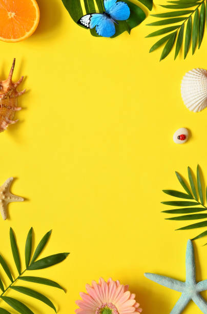 istock Summer Tropical Background. Palm Trees Branches, butterfly, starfish and seashell on yellow background. Summer concept.Travel. 1205583147