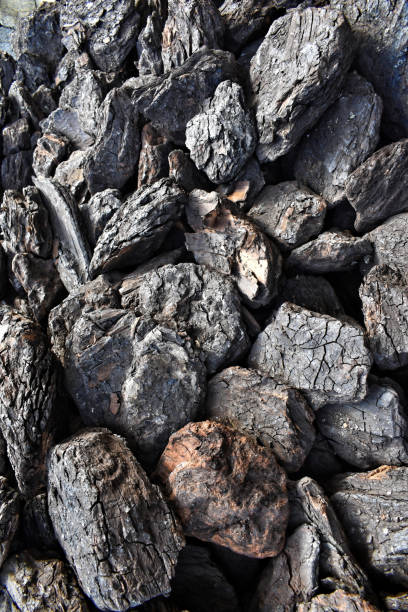 가열 준비가 된 건조한 리그나이트 석탄 더미 스톡 사진