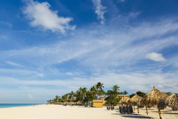 istock Beautiful view of white sand beach with sun umbrellas and sunbeds. Eagle beach. Aruba island. 1205589727