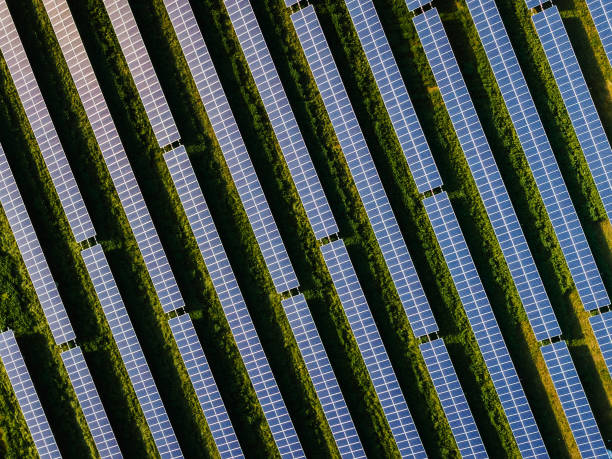istock A sea of solar panels from a high altitude 1205590926
