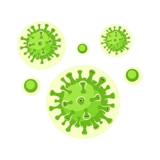 Green virus cells. Viruses in infected organism, viral disease epidemic. Corona, influenza viruses. Healthcare and medicine concept. Vector illustration.