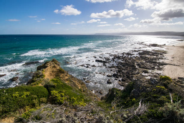 istock Coastline at Great Otway National Park 1205592363
